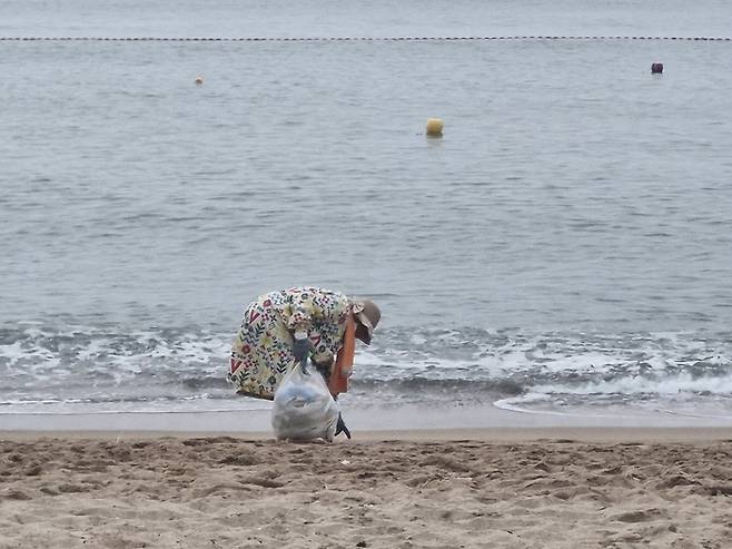 지난 9일 새벽 5시쯤부터  김씨(85)가 영덕 장사해수욕장에서 파도에 밀려온 해안가 쓰레기를 허리를 굽혀 맨손으로 남들 몰래 줍고 있다.(영남일보 DB)