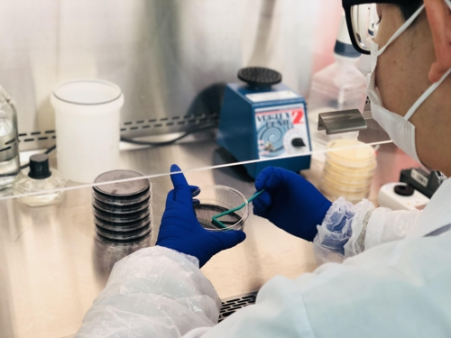 레지오넬라균 검사. [사진 = 연합뉴스]