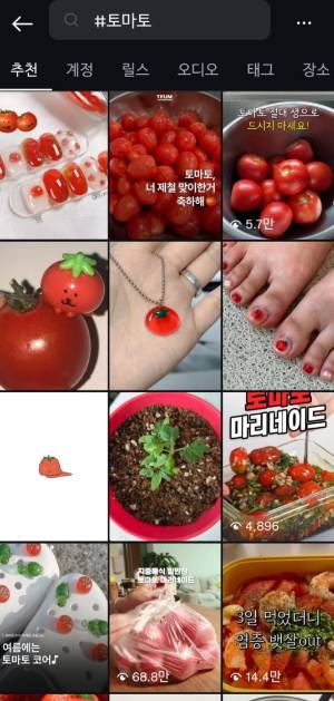 인스타그램에서 해시태그(#)에 토마토가 달린 게시글들./