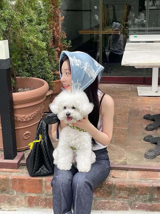 정채연 소셜미디어