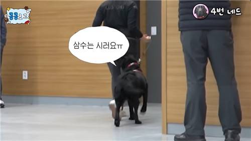 재시험에 탈락해 삼수 위기에 놓인 마약 탐지견의 모습이 담긴 영상 ['관세청' 유튜브 채널 캡처. 재판매 및 DB 금지]