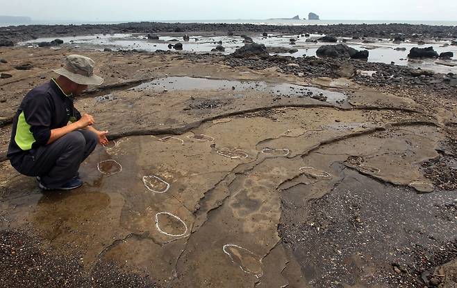 제주 사람발자국 화석 [연합뉴스 자료 사진]