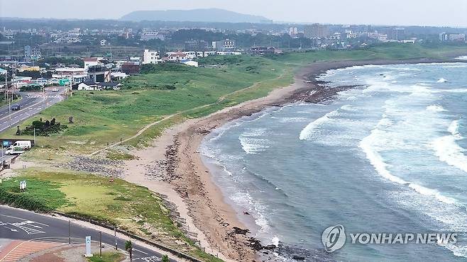 제주 신양사구 [촬영 박지호 기자]