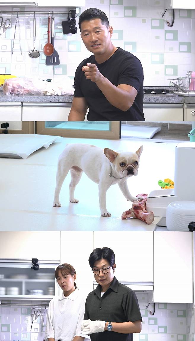 / 사진=채널A