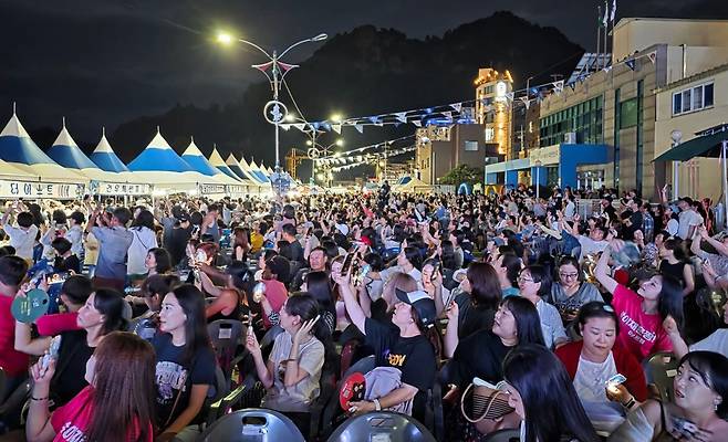 연예인 축하공연, 불꽃놀이, 드론 쇼 등 다양한 프로그램으로 관중들을 사로잡았다. /김두한 기자