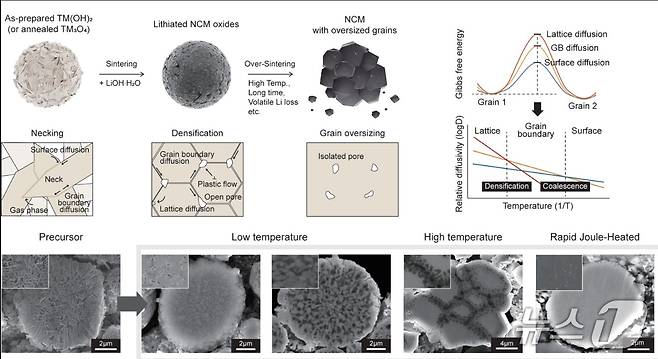 기존 소결과 급속 줄 가열 소결의 하이니켈 양극재 미세구조 변화 및 소결 동역학 모식도(한국연구재단 제공) /뉴스1