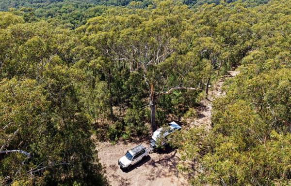 출처 : 캐러밴 월드