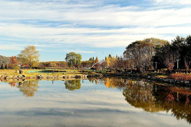 가을철 신정호. 아산시 제공