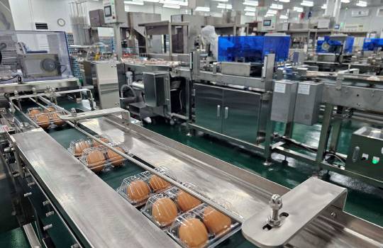 충남 논산에서 출발한 '감동란'은 하루 최대 30만 알을 생산하는 국내 프리미엄 반숙란 선도기업이다. 사진은 직원이 철저한 품질관리를 위해 장비를 살피고 있다. 감동란 제공.