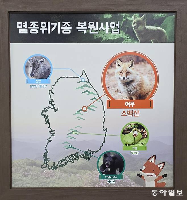 동아DB