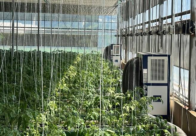 전남도가 시설채소, 과수, 화훼 등 고온에 민감한 작물의 피해를 최소화하고 농업인의 경영을 안정시키기 위해 시설하우스를 대상으로 냉방시설<사진>과 차광시설을 지원한다. 전남도 제공