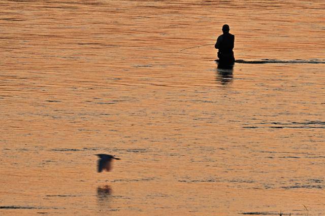 경기 연천 고랑포 여울 위로 석양이 내려앉자, 강물은 비단처럼 빛났고. 그 위에 낚싯대를 드리운 낚시꾼의 실루엣은 서서히 지워지며 풍경 속 한 장면처럼 스며들었다.
