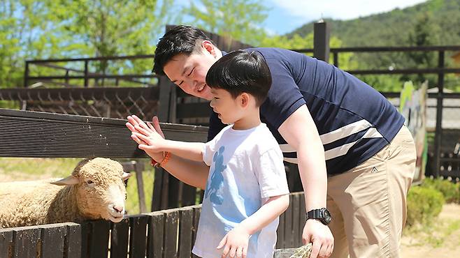 A petting zoo at Kensington Hotel Pyeongchang [KENSINGTON]