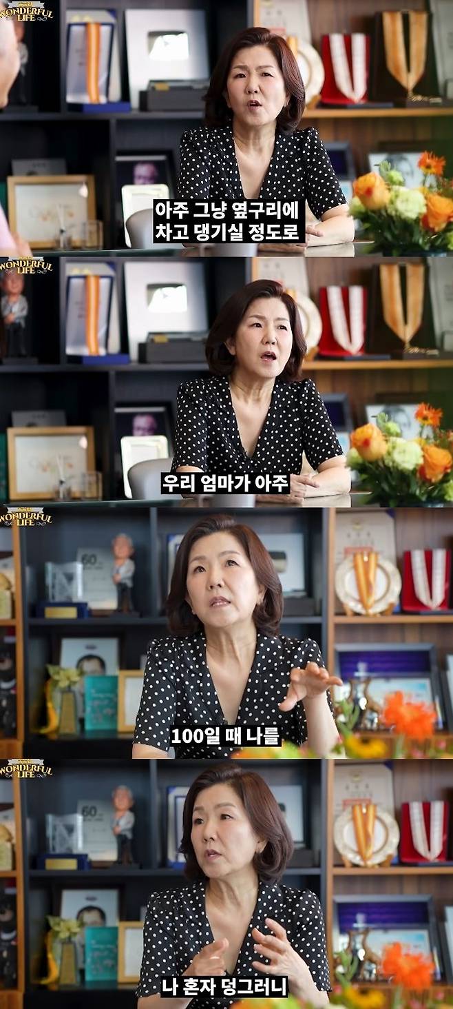 채널 ‘원더풀 라이프’