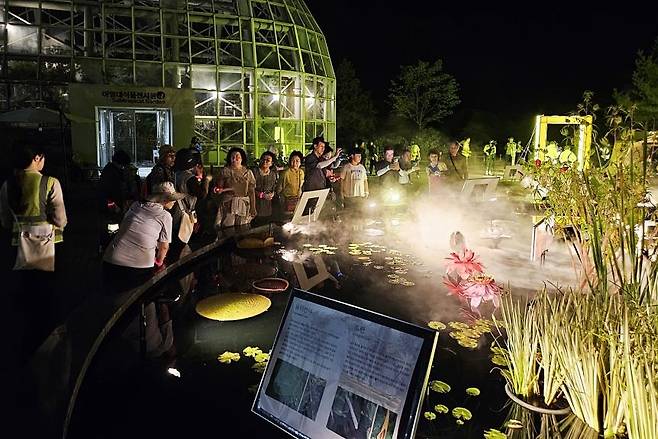 광릉숲 야간 특별 개방 행사 [국립수목원 제공. 재판매 및 DB 금지]