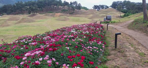 사진 4, 성주 성산동 고분군길