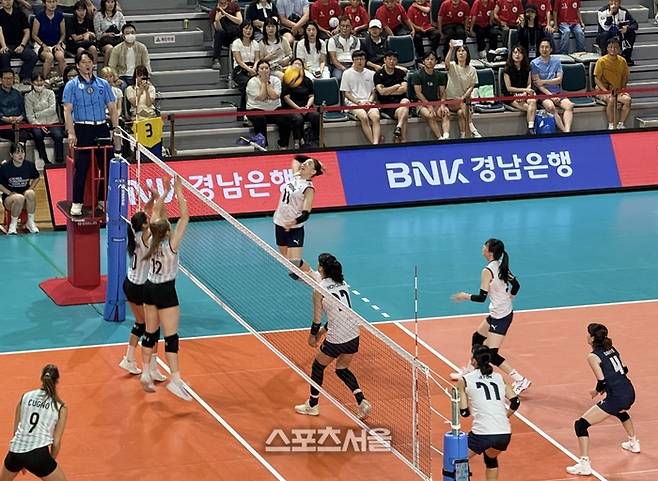 한국 여자배구대표팀이 12일 진주체육관에서 열린 코리아 인비테이셔널 아르헨티나전에서 공격을 시도하고 있다. 진주 | 정다워 기자