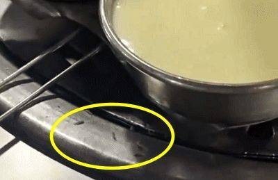 고기가 구워지고 있는 불판 가장자리에 구더기가 바글대고 있다. 틱톡 계정 @riiicaaaa