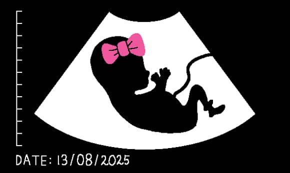 일러스트=박상훈