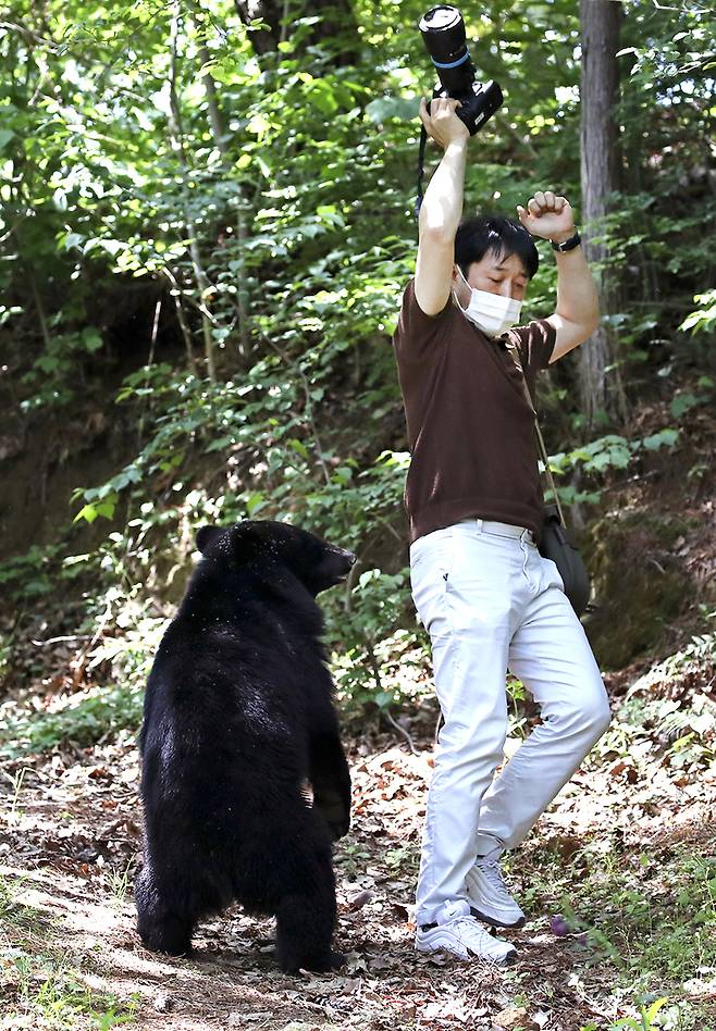 최우수상을 수상한 김동수 경상일보 기자의 ‘반달곰과 댄스를’.