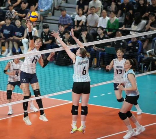 사진=대한배구협회 제공. 연합뉴스