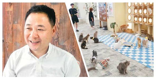 이성완 대표(왼쪽)와 고양이 마을을 테마로 한 '루프캣미' 내부 모습.  이한나 선임기자