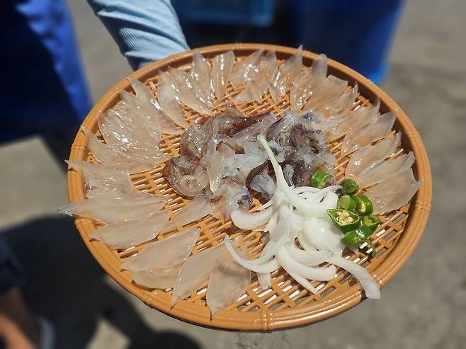 [뉴시스] 박씨 일행이 속초 오징어 난전에서 구매한 5만6000원짜리 오징어 두 마리. (사진=속초시청 자유게시판) *재판매 및 DB 금지