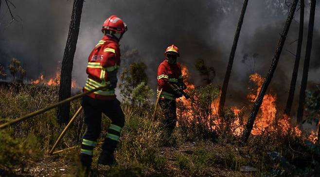 [서울=뉴시스] 포르투갈과 스페인 등 남부 유럽 곳곳이 섭씨 40도가 넘는 폭염에 시달리고 있다고 9일(현지 시간) AFP통신은 보도했다. 사진은 포르투갈에서 발생한 산불을 진압하고 있는 소방관들. (사진=X(엑스) 갈무리) 2023.08.10. *재판매 및 DB 금지