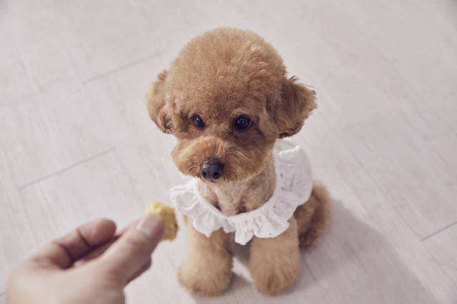 이미지투데이