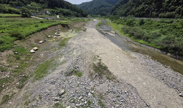 12일 강원 강릉시 주 상수원인 오봉저수지 저수율이 역대 최저치인 25.4%까지 낮아진 가운데 저수지 중·상류 지역이 잡초가 무성하거나 맨바닥을 드러내고 있다. 연합뉴스