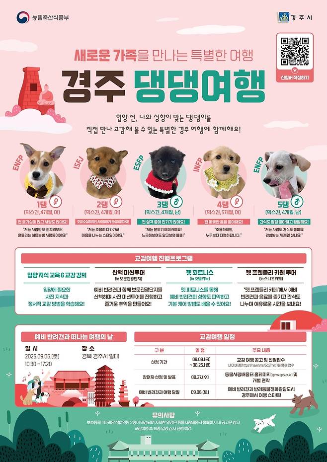 경주 댕댕여행 포스터 [경주시 제공. 재판매 및 DB 금지]