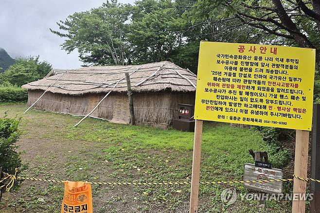 파손된 울릉 투막집 (울릉=연합뉴스) 손대성 기자 = 경북 울릉군 북면 나리에 있는 전통가옥이자 문화유산으로도 지정된 억새 투막집이 지난 겨울 폭설로 대거 파손된 채 제때 보수가 이뤄지지 않고 있다. 2025.8.12 sds123@yna.co.kr