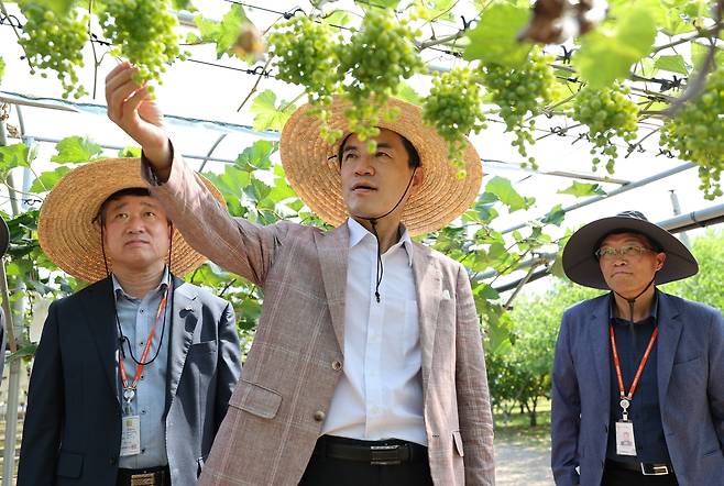 김진태 강원지사, 과수 현장 방문 [강원도 제공.재판매 및 DB 금지]