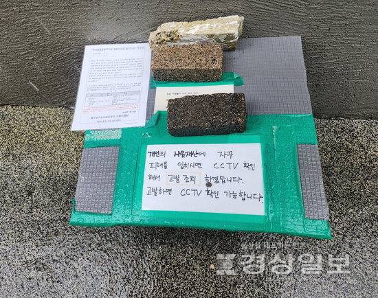 ▲ 울산 곳곳에 설치된 사설 고양이 급식소. 주민들과 캣맘 간 갈등이 지속되고 있지만 법적 해석에 따라 지자체의 대응도 달라져 갈등 조정이 쉽지 않다.