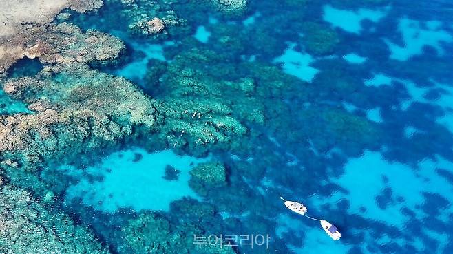 사진출처-KBS1 걸어서 세계속으로