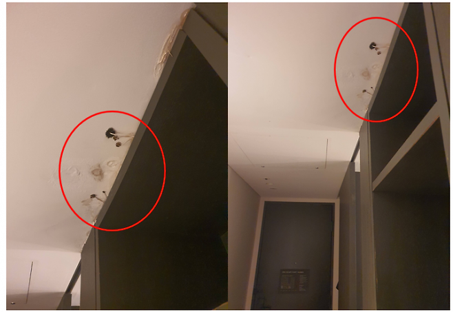 서울 강남구 소재 한 호텔의 방 안에 버섯이 폈다고 주장한 사진. 블라인드 캡처