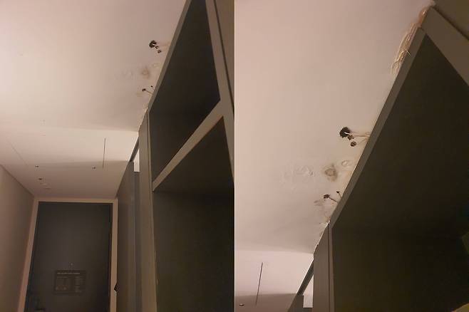 서울 유명 비즈니스호텔 객실 천장에서 목격된 버섯./ 블라인드