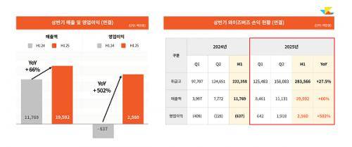 [사진: 와이즈버즈 2025 상반기 매출영업이익]