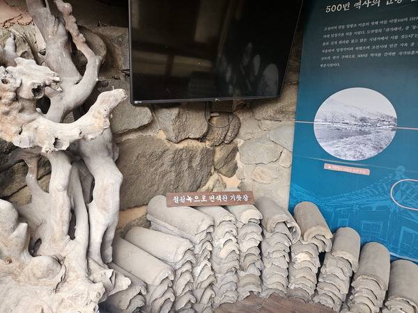 지난 수십 년 동안 철길에서 날아온 녹이 쌓여 색이 바뀐 임청각 기왓장이다.