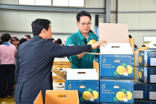 울주 서생에 배 산지공판장 개장 (울산=연합뉴스) 지난  11일 울산 울주 서생농협의 배 산지공판장 개장식이 열린 가운데 이순걸 울주군수(오른쪽)가 배 작황 상태를 확인하고 과수농가 농민들을 격려하는 모습.  [울주군 제공.재판매 및 DB 금지] <저작권자(c) 연합뉴스, 무단 전재-재배포, AI 학습 및 활용 금지>