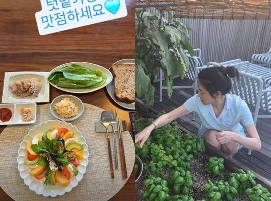 이영애 개인 계정