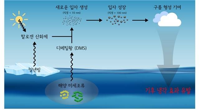 [극지연구소 제공]