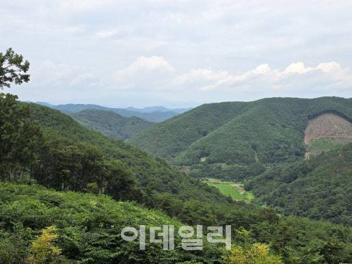 경남 의령 응봉산 전경. (사진=박진환 기자)