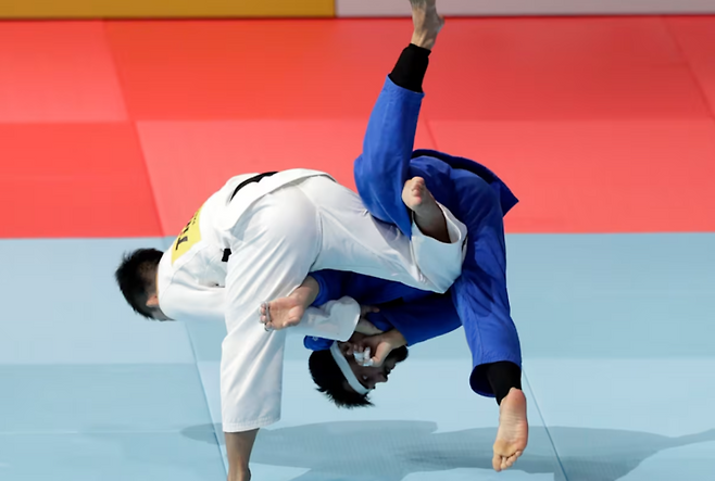 위 사진은 기사 내용과 연관없음