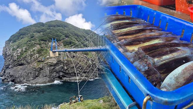 울릉 관음도(왼쪽)와 울릉도 오징어(오른쪽) ⓒ 연합뉴스