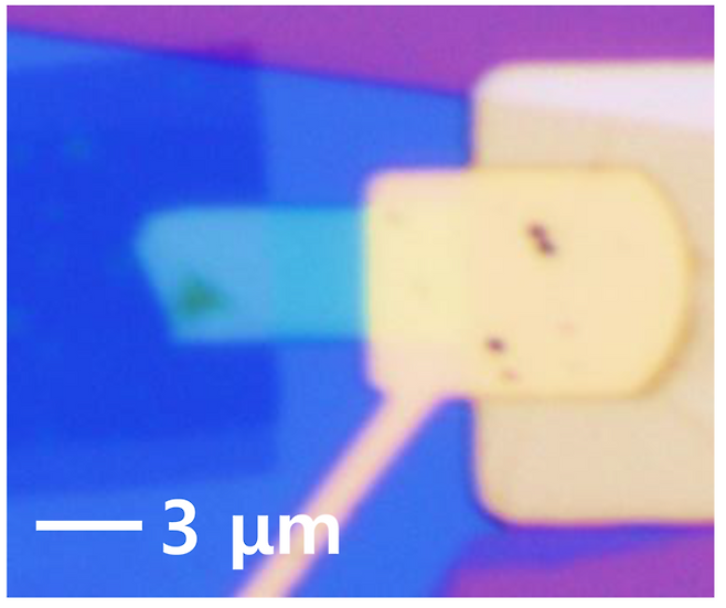 KAIST가 개발한 신규 개발 무전력 광센서의 광학 현미경 이미지