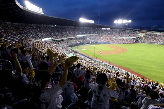 잠실 야구장에서 팬들이 응원을 하며 야구를 즐기고 있다. 사진 LG 트윈스