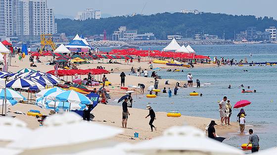 강원도 강릉 경포해수욕장에서 피서객들이 무더위를 식히고 있다. 연합뉴스