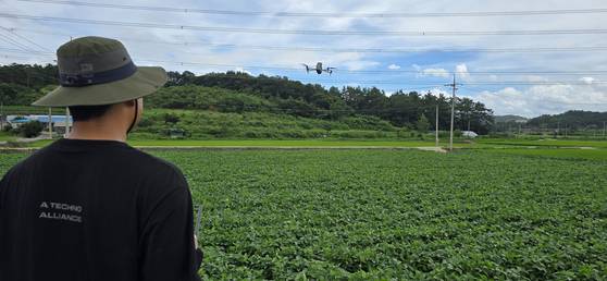 정읍시 드론 예찰단 소속 최현승(26)씨가 지난 13일 오후 3시쯤 정읍시 태인면 박동마을회관 앞에서 열화상 카메라와 스피커를 장착한 드론을 논밭 위로 띄우고 있다. 김준희 기자