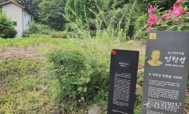 경기도가 광복 80주년을 맞아 선정한 80인의 독립운동가 생가 중 일부가 제대로 관리되지 않은 채 허물어져 가고 있다. 사진은 잡초가 무성하게 뒤덮인 엄항섭 선생의 생가터. 김시범·윤원규기자